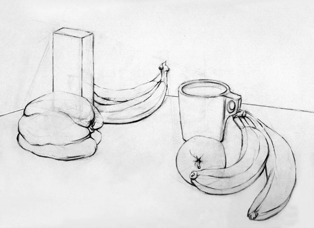 Still Life Drawing with Pencil