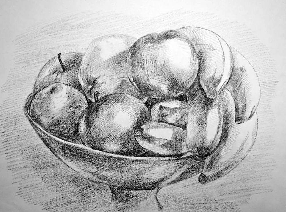 Pencil still life drawing