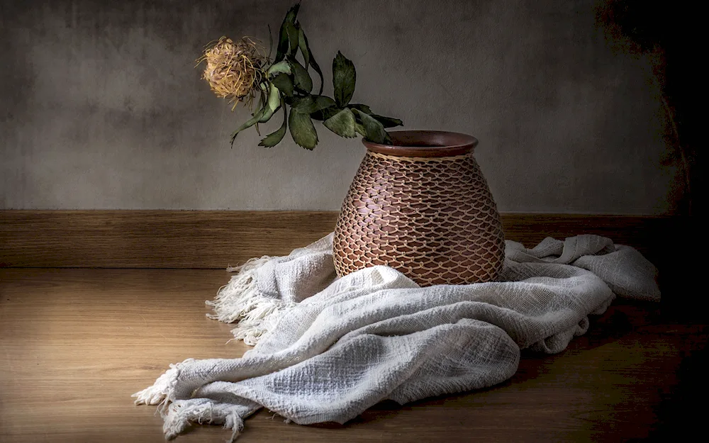 Still Life with drapery