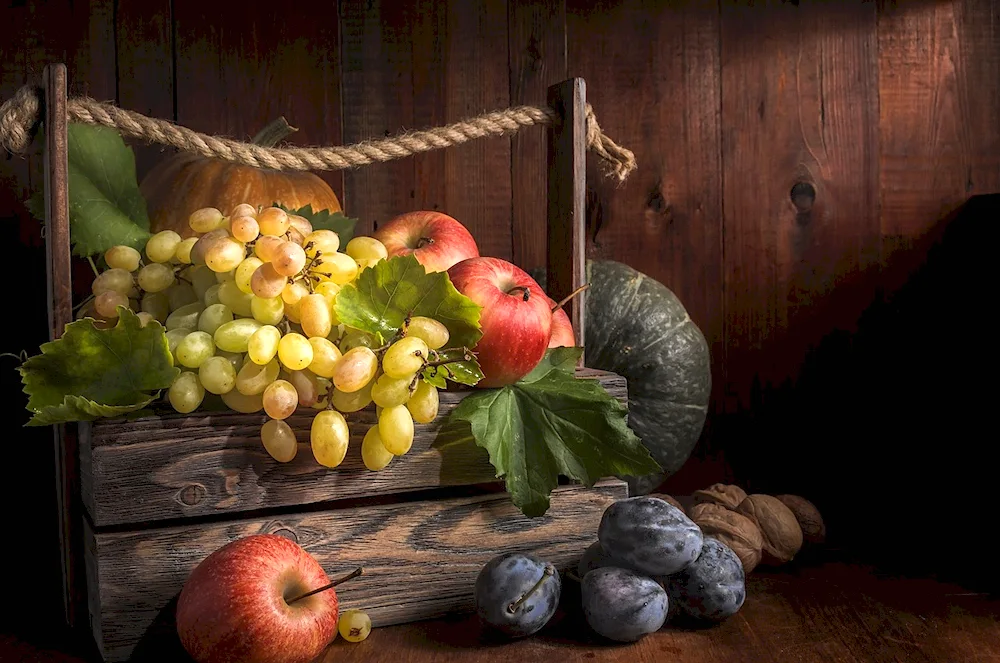 Food still life
