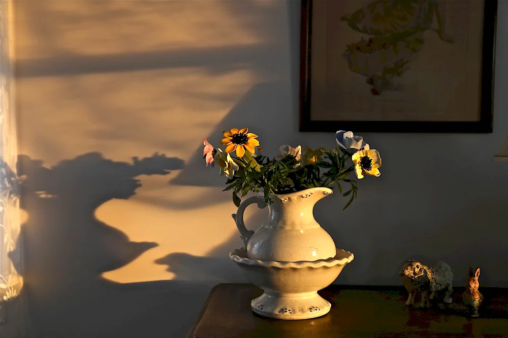 Nature still life with natural light