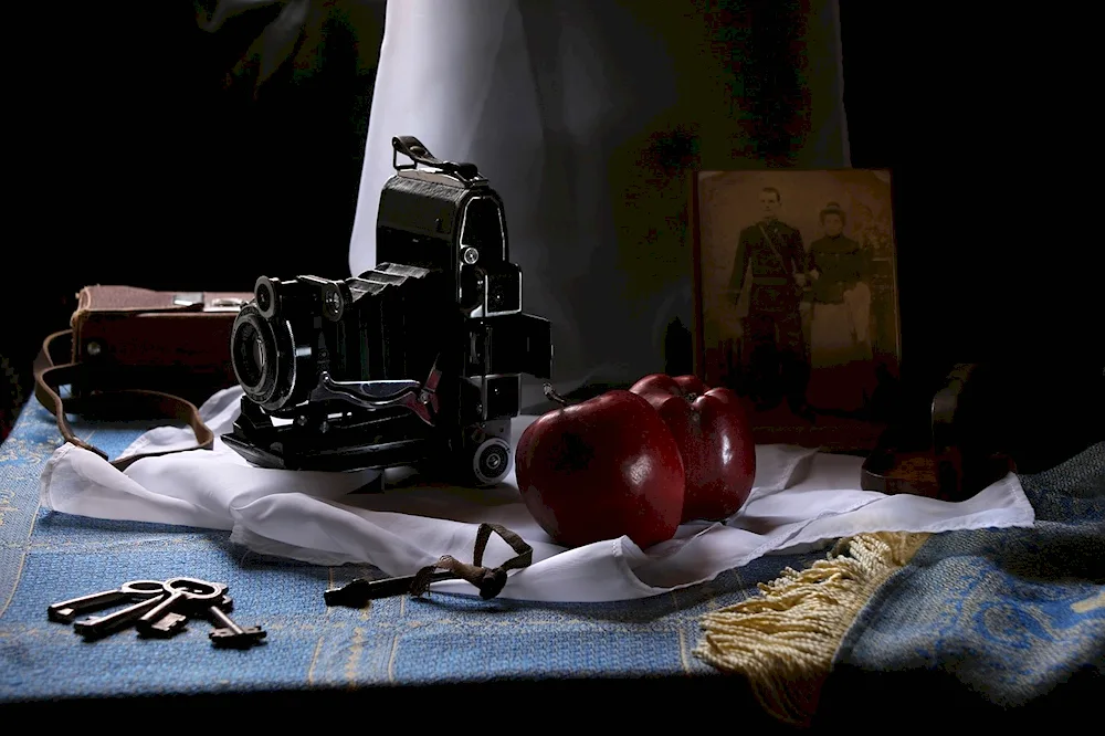 Nat still life with camera