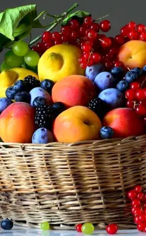 Still life with fruit