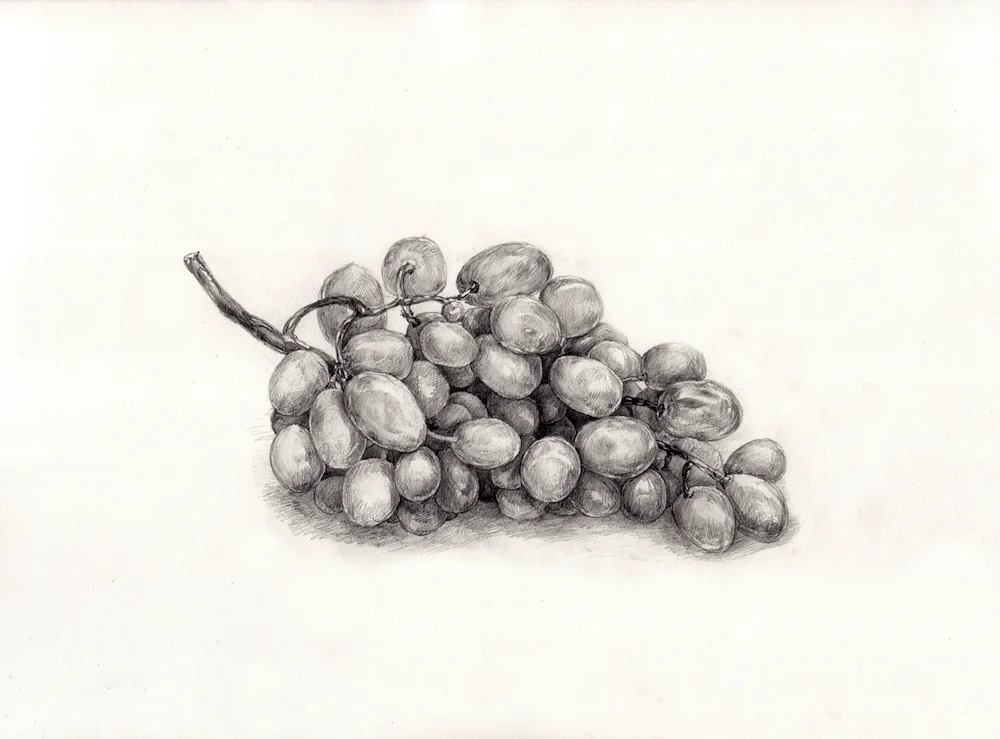 Painting with pencil