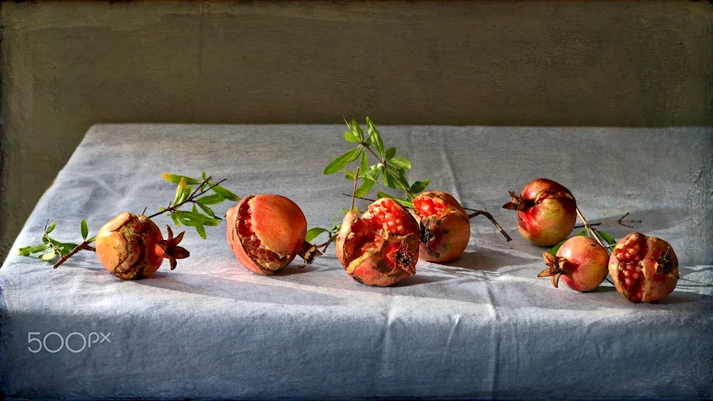 Pomegranate Still Life