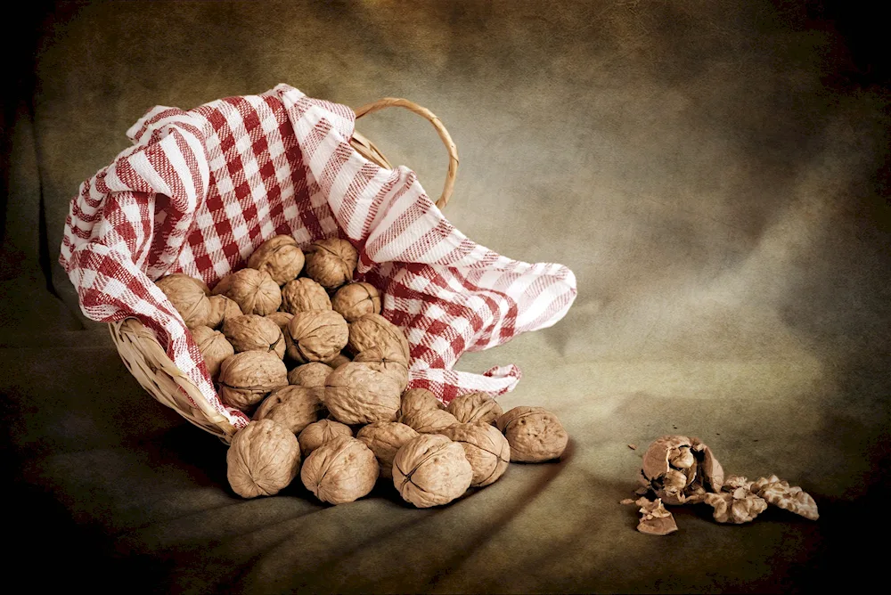 Still Life with drapery