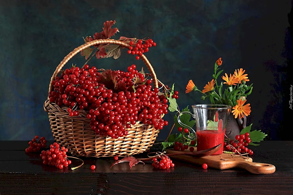 Pavel Eskov rowan