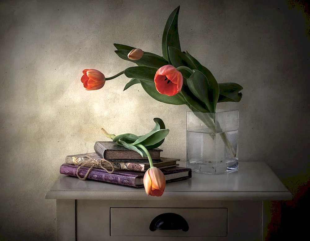 ‘Still Life with Books’