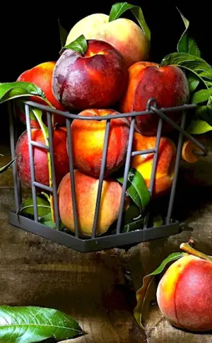 Still Life with Peach