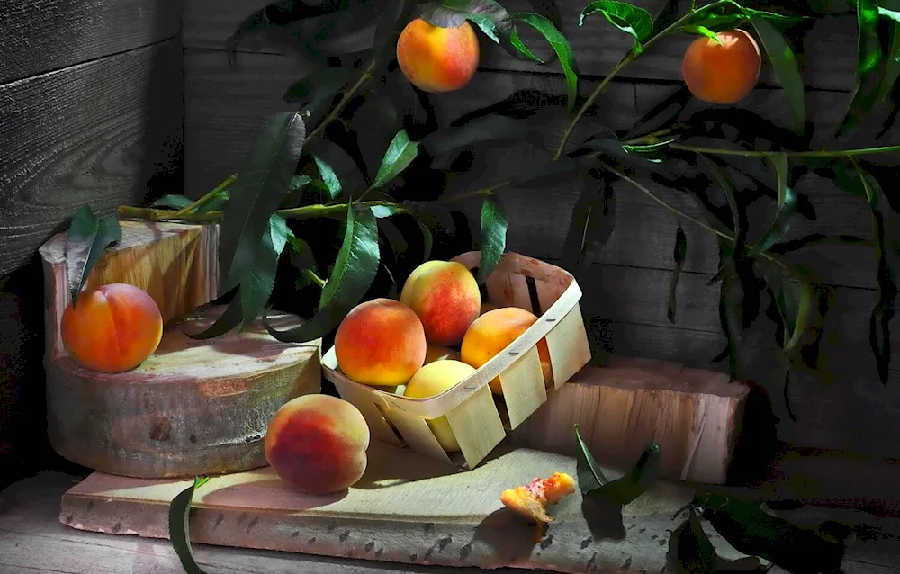 Still Life with Fruit