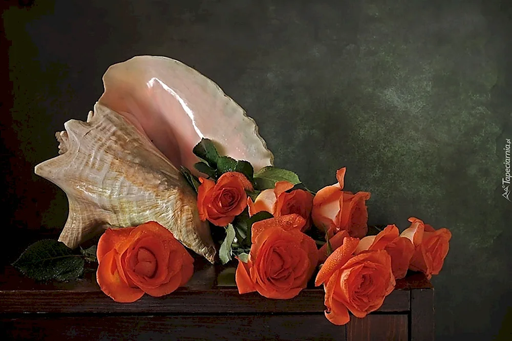 Still Life with Roses