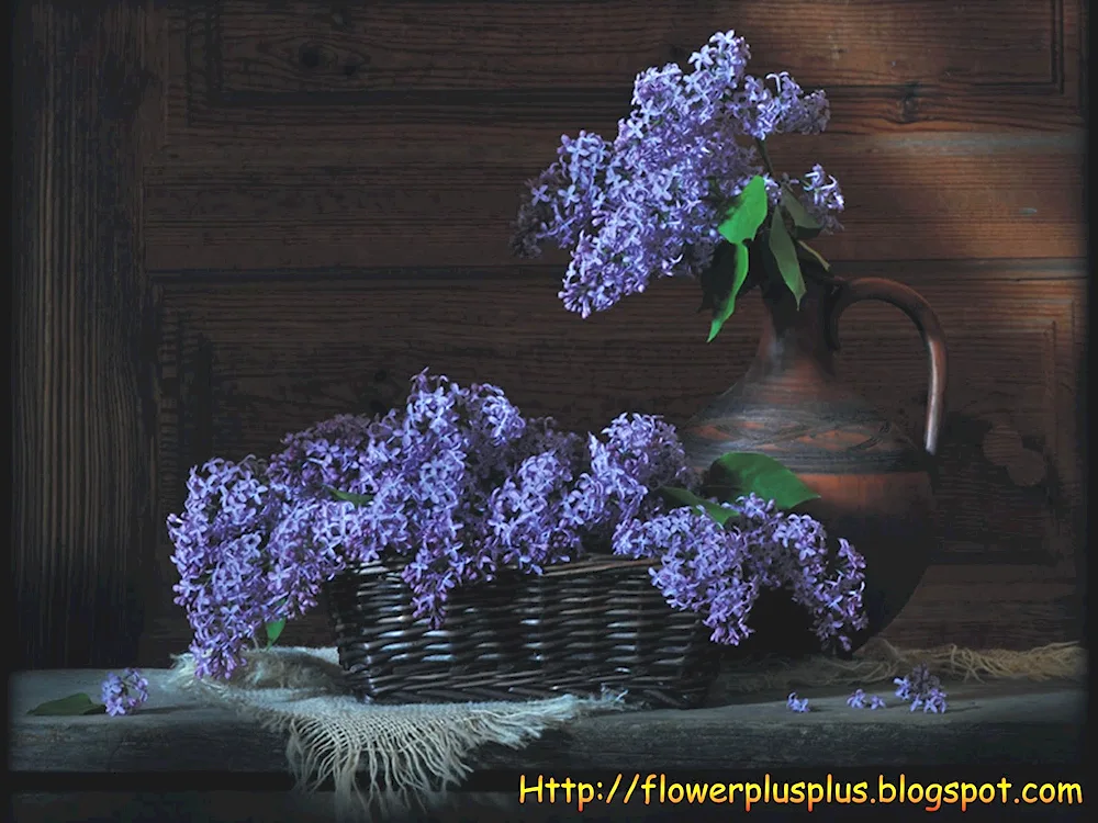 François Gillet still life with lilacs