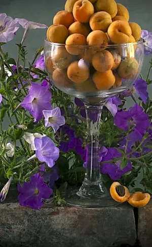 Still Life with Flowers