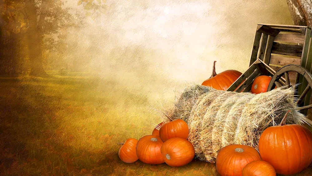 Pumpkin still life