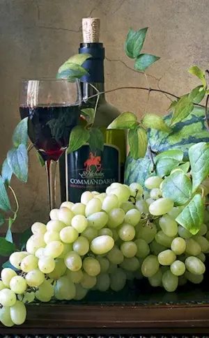 Still life with grapes