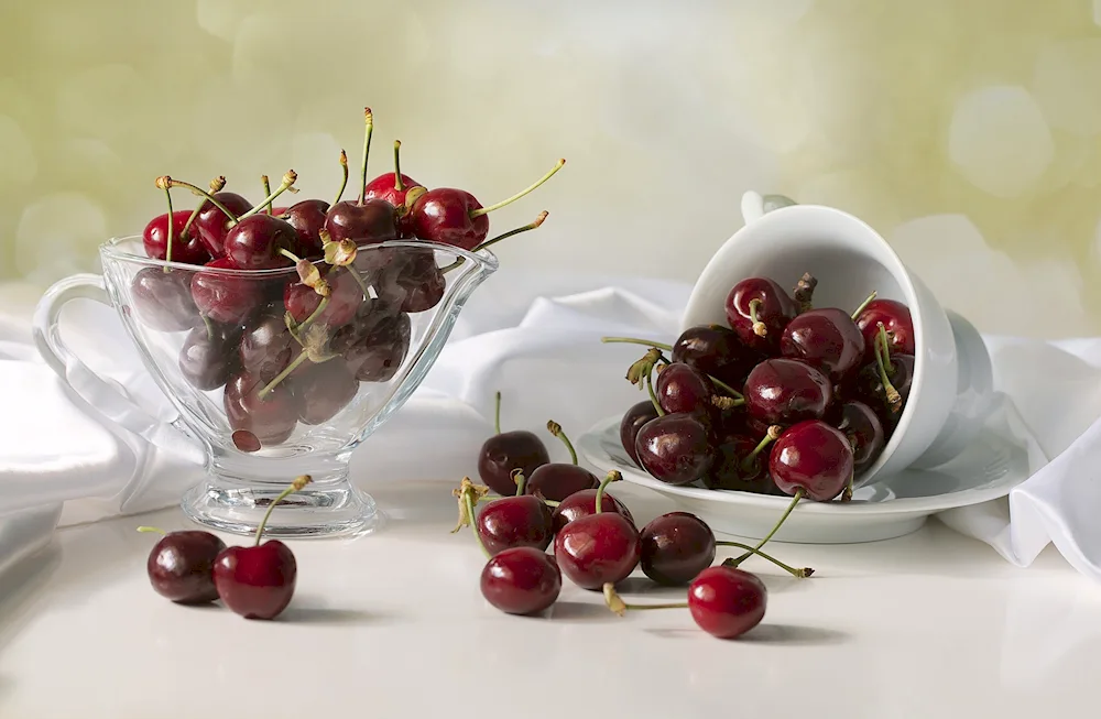 Cherry cherry on a dark background black background