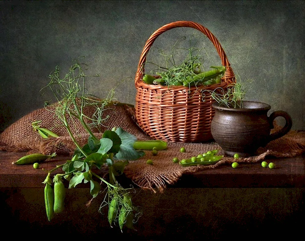 Nature with greenery