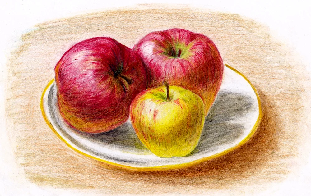 Apple still life with coloured pencils