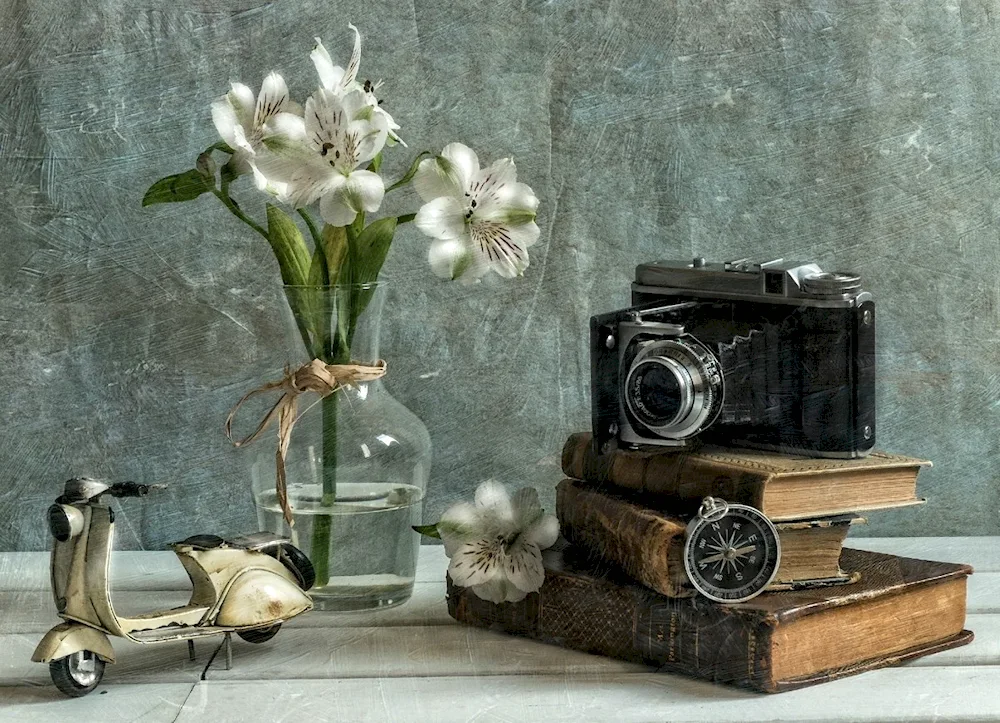 Anna Petina prize-winner 35awards still life