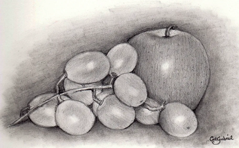 Fruit Still Life with Pencil Yuri Kushevsky