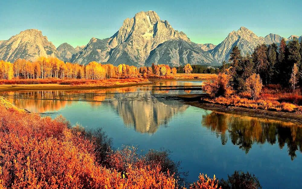 Beautiful autumn