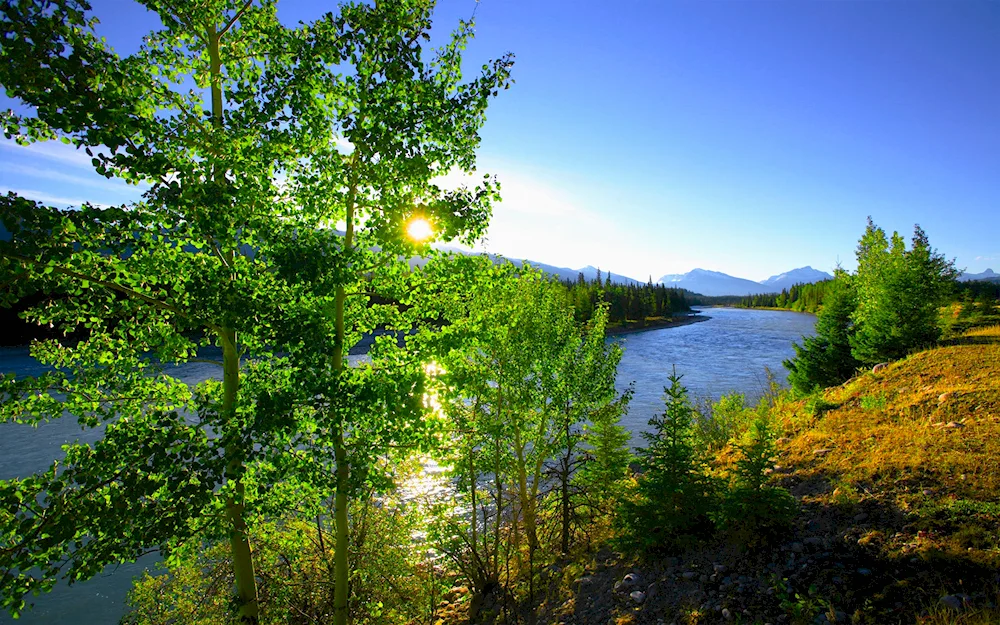 Lorenz National Park