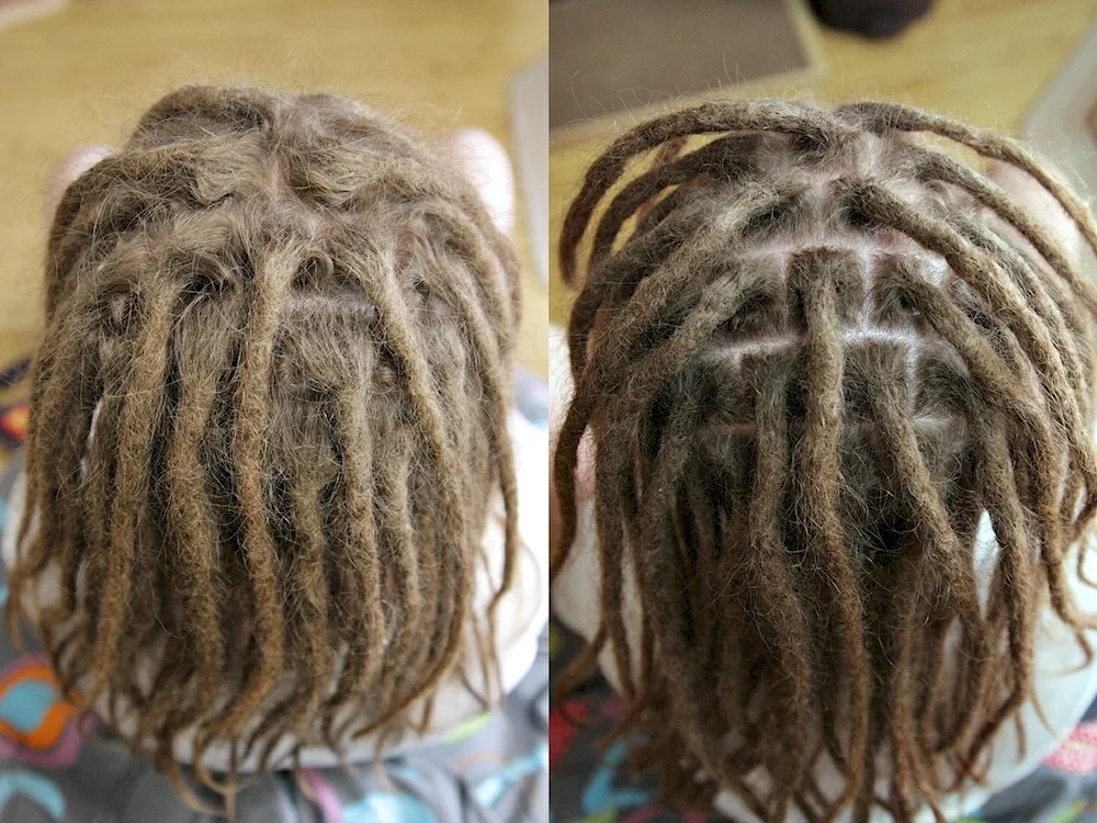 Heavy dreadlocks before and after dreadlocks on a white background