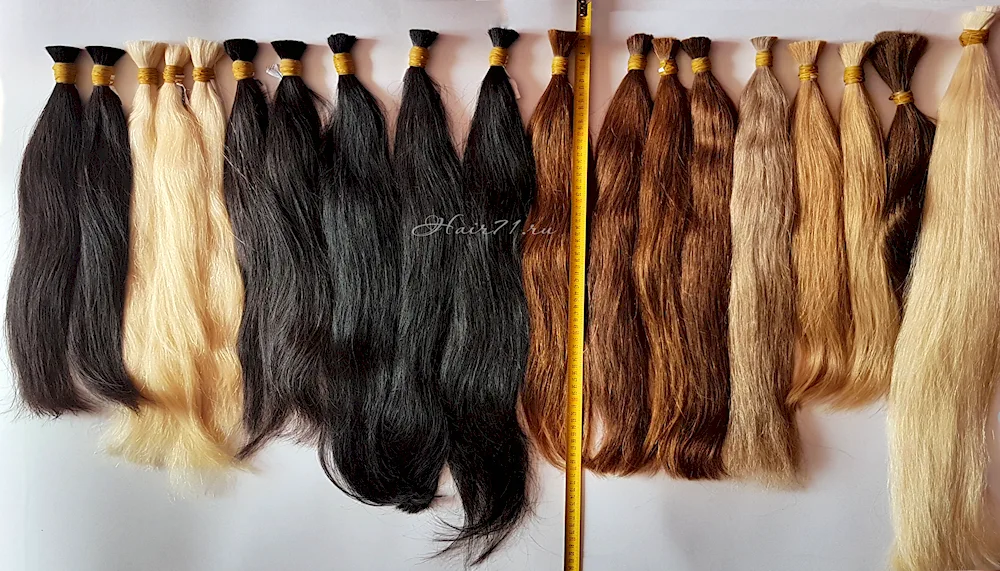 Body Wave Lace Front Wigs Human hair