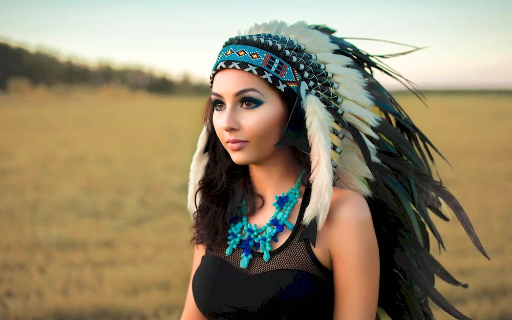 Navajo Roach
