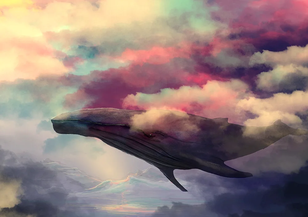 Fantasy whales