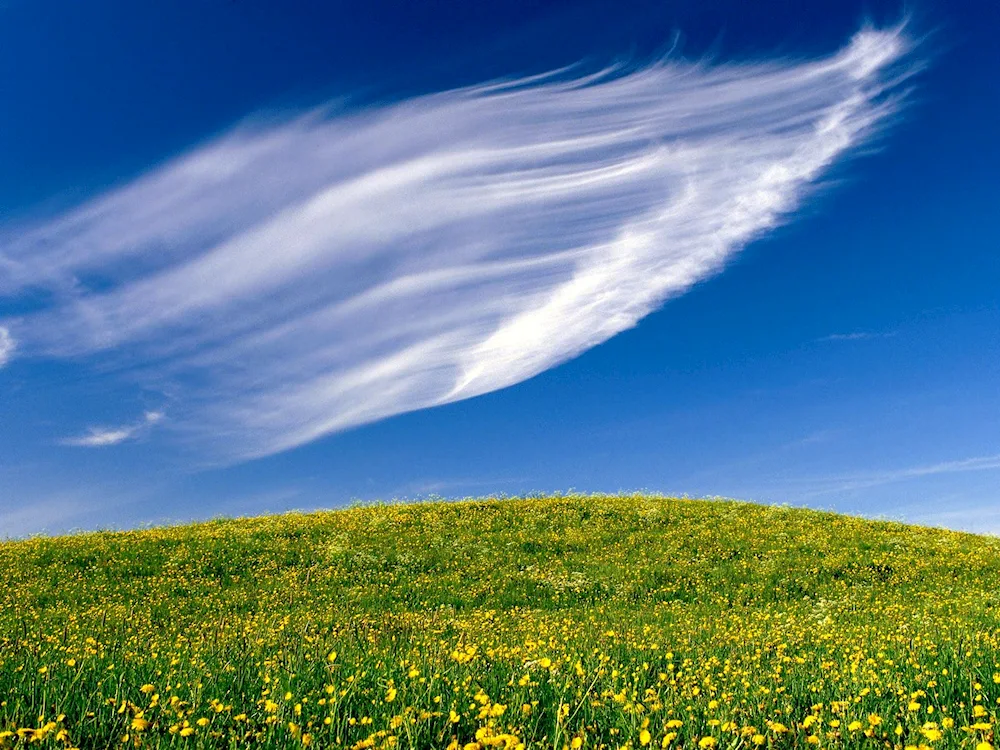 Clouds on transparent background