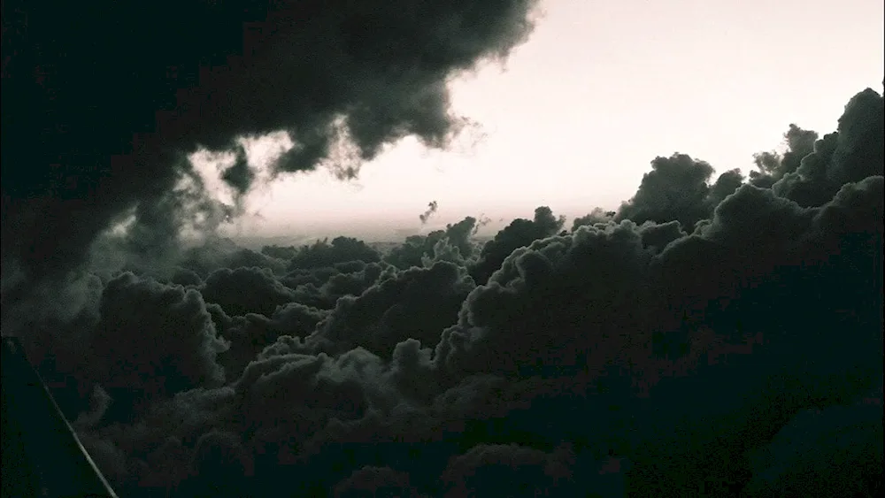 The sky in the dark forest. palm trees