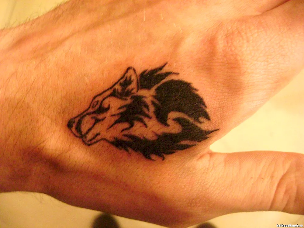 Wolf tattoo on the shoulder