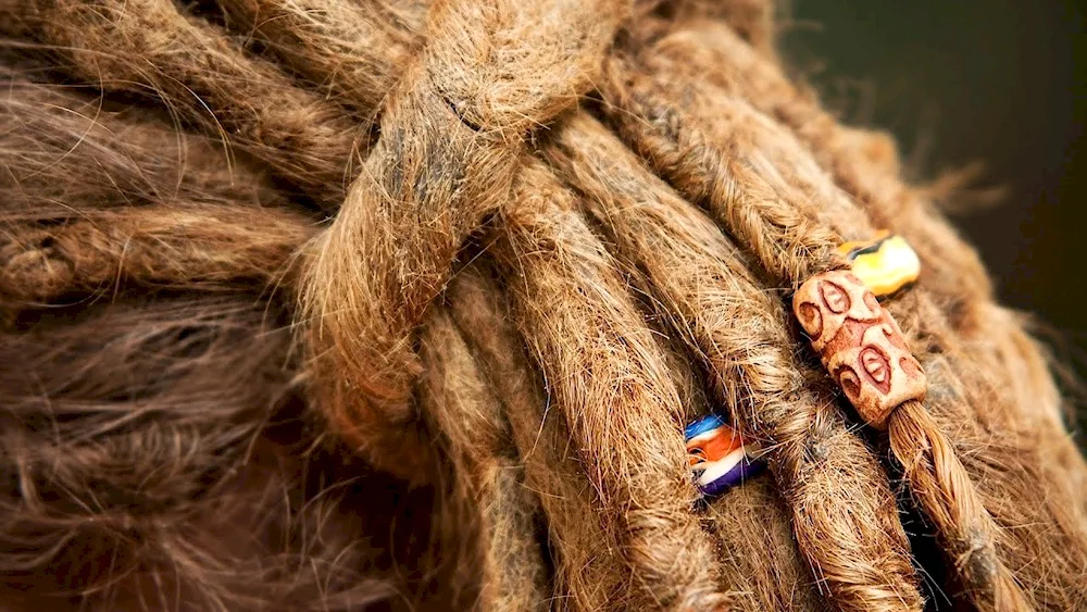 Afro braids de dreadlocks