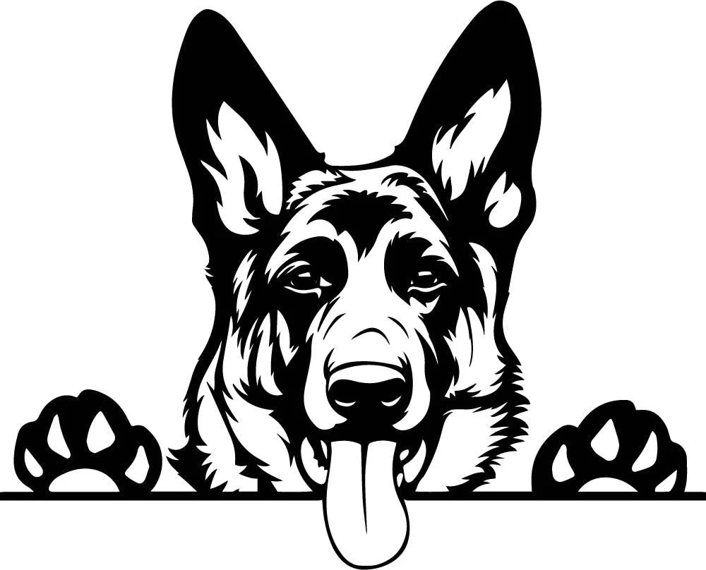 Eastern European shepherd dog Mukhtar