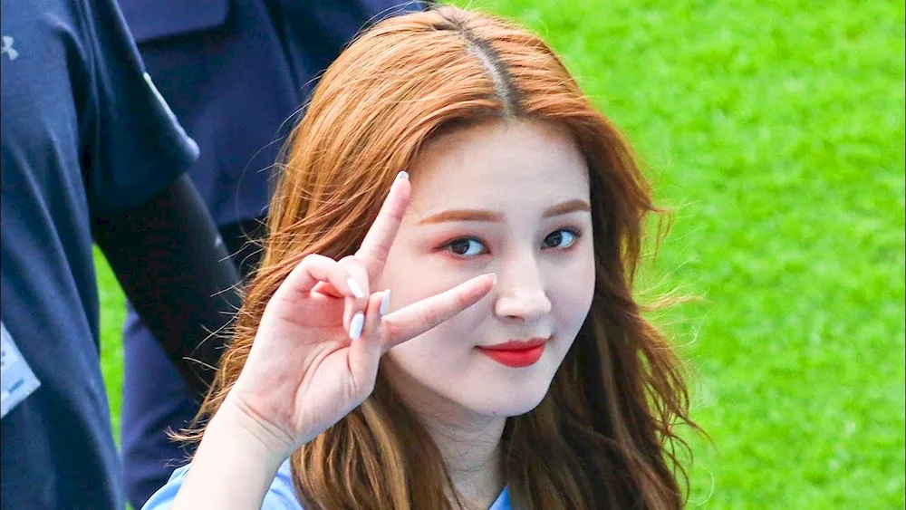 Nancy. Mcdonie