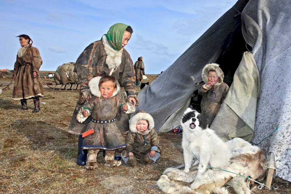 Nenets Khanty Mansi