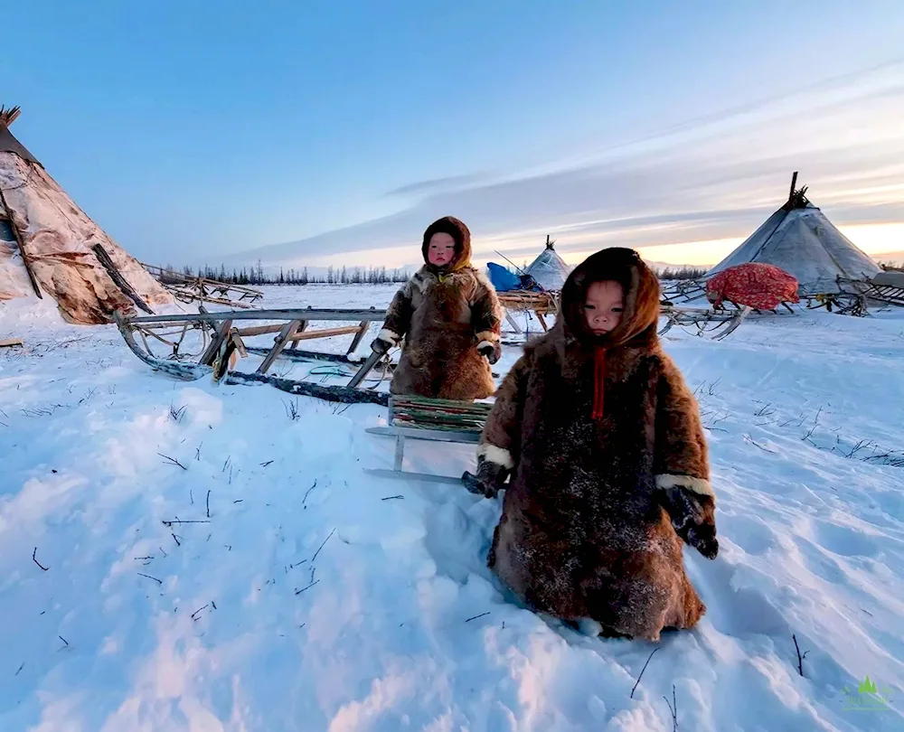 Nenets Naryan Mar tundra