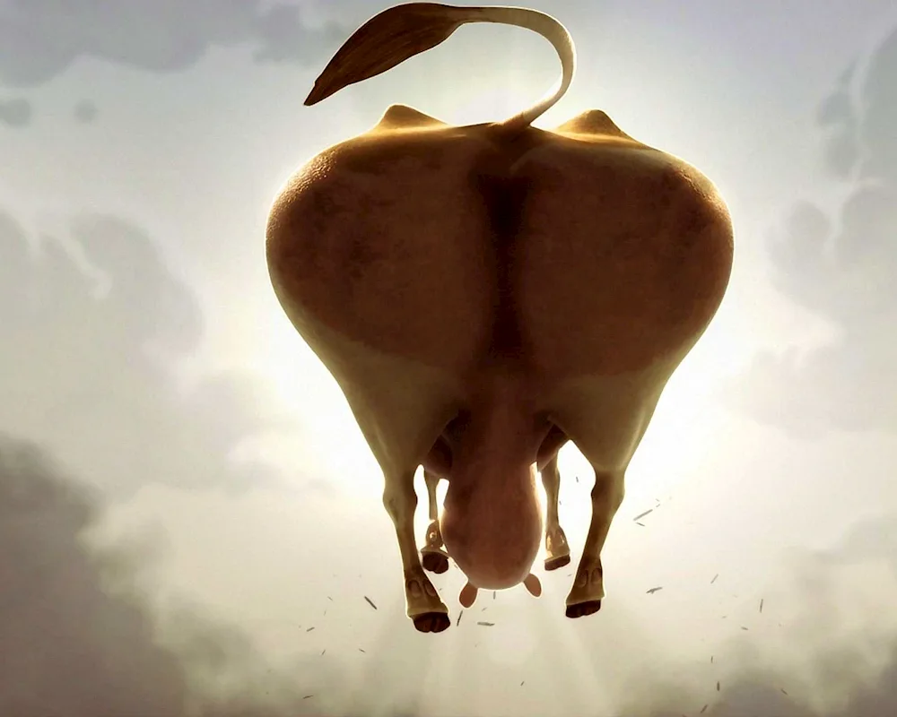 Unusual cow