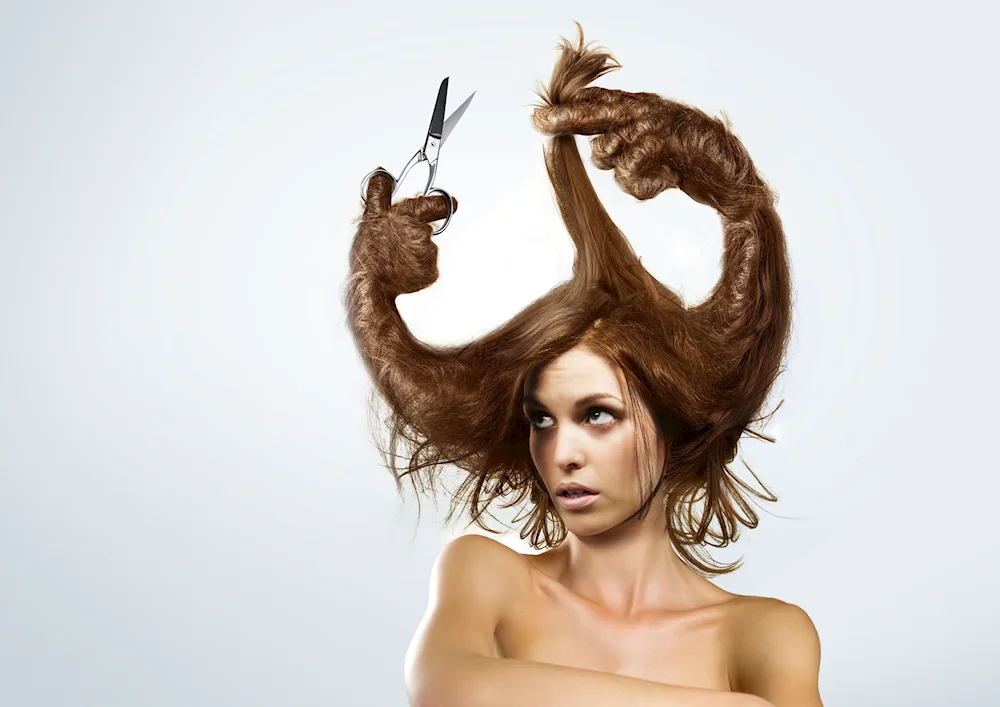 Funny hairstyles