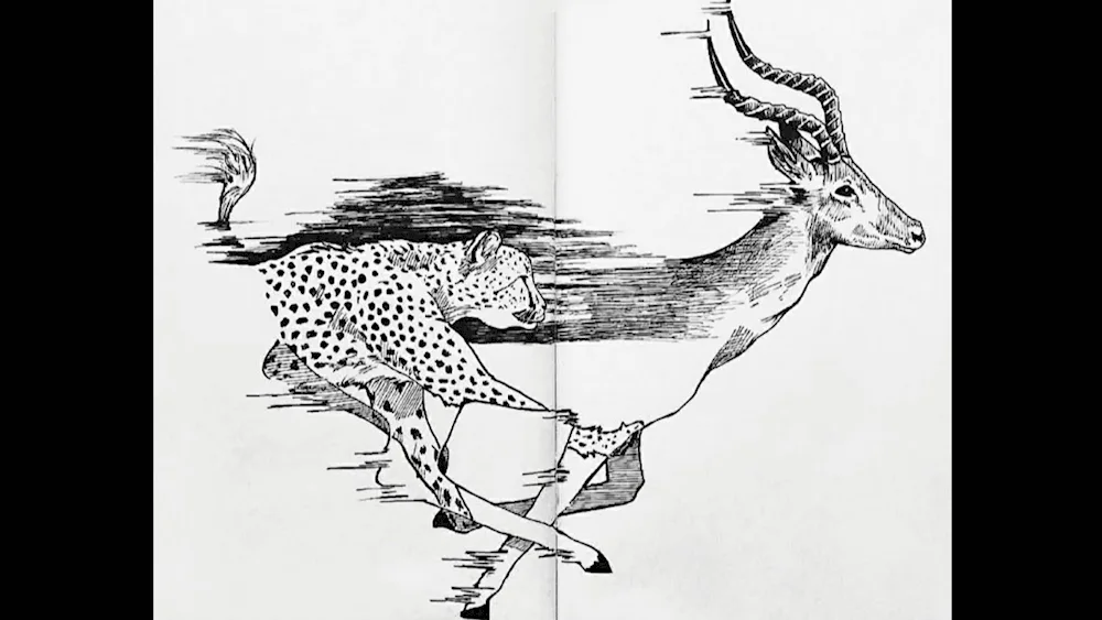 Sketchbook drawings