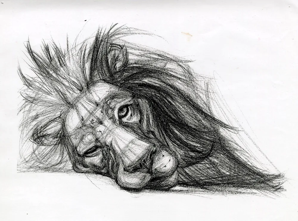 Pretty pencil drawings