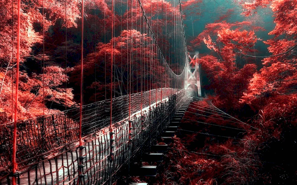 Neobi landscapes