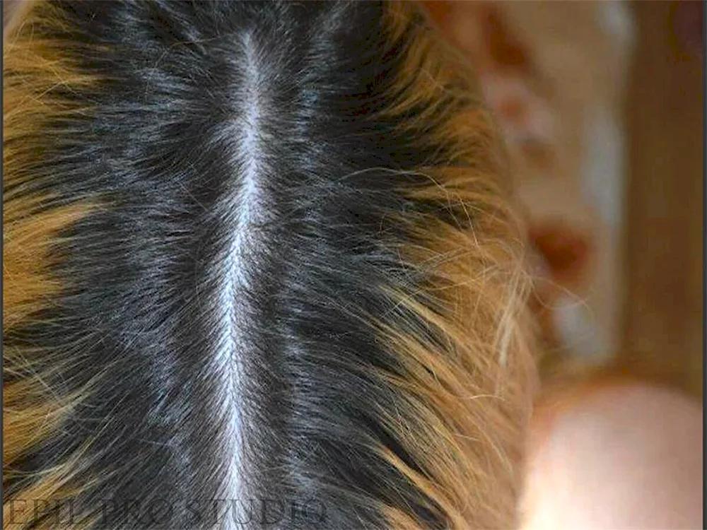 Uncoloured hair. hair roots