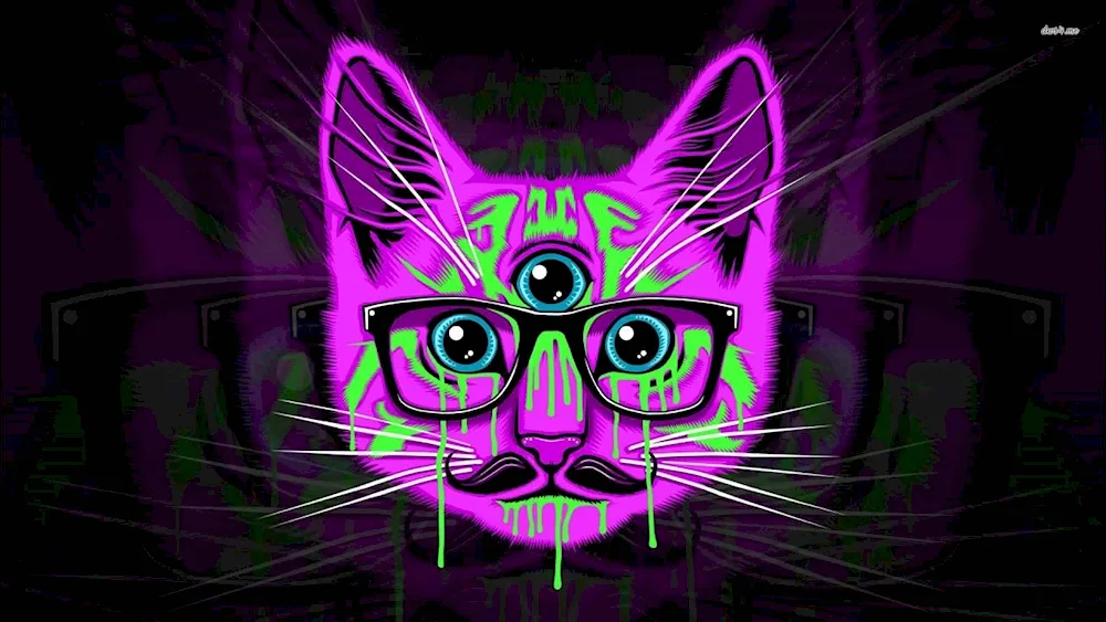Neon cat