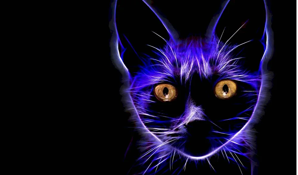 Neon cat