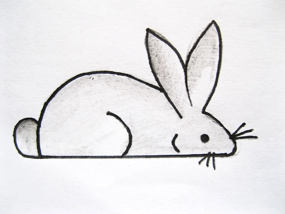 Snuggly ones Drawings