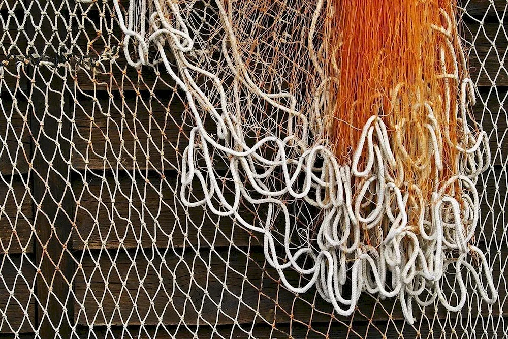 Fishing Net