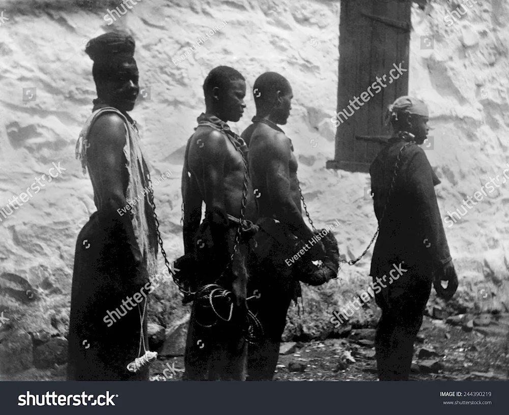 Tibool slave girls in colouretibol 2016