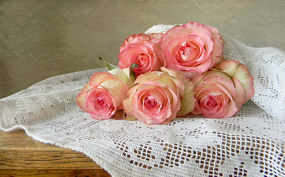Pink Flover rose